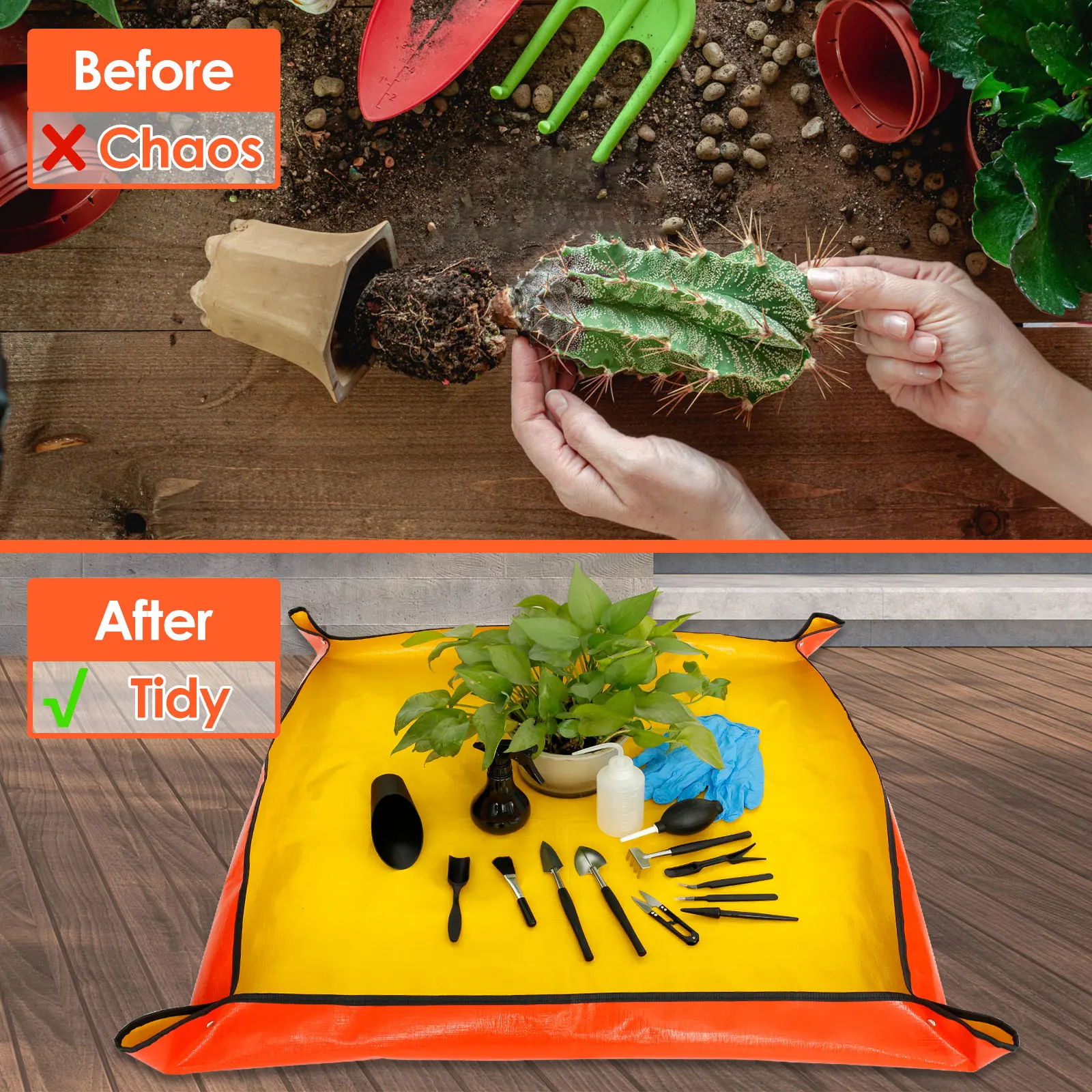 13/16Pcs Garden Succulent Plan - đánh giá và giá Farming Agriculture Tools