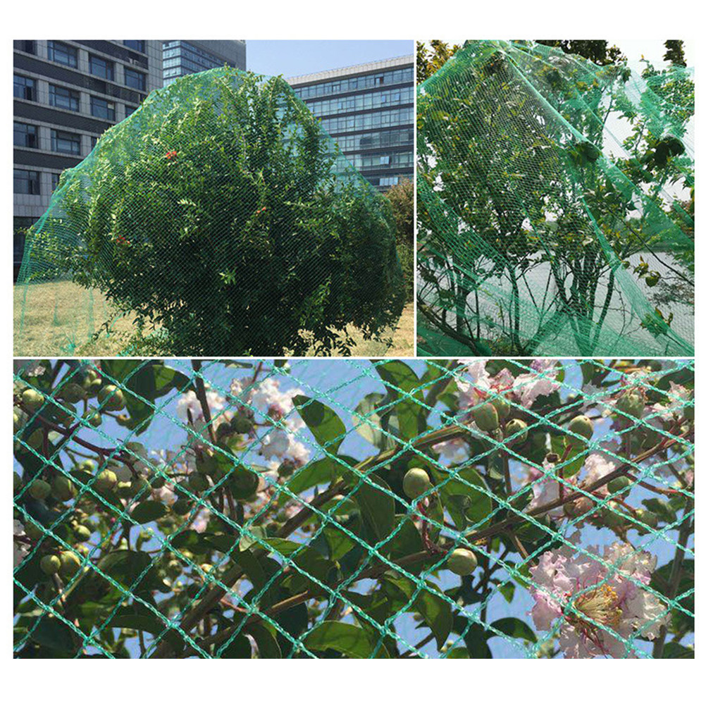 15M Anti Bird Net Green Fruit  - đánh giá và giá Agriculture Gardening Farming